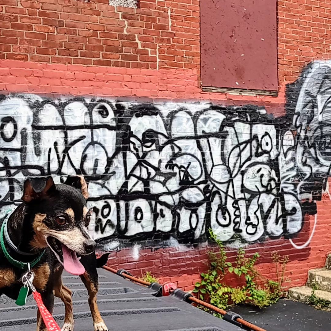 lexi lou in quincy helping me with graffiti